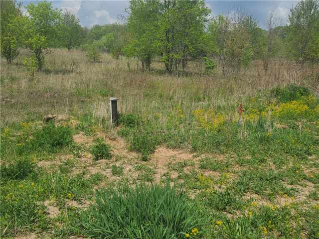 Cameron Land Real Estate