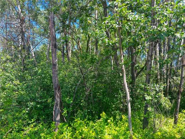 Chippewa Falls Land Real Estate