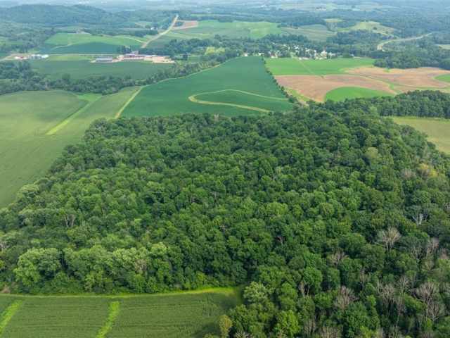 Mondovi Land Real Estate