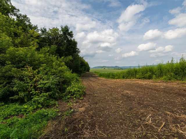 Mondovi Land Real Estate