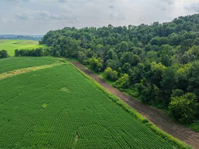 Mondovi Land Real Estate
