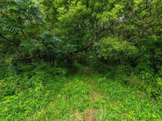 Mondovi Land Real Estate