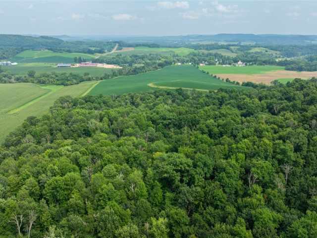 Mondovi Land Real Estate