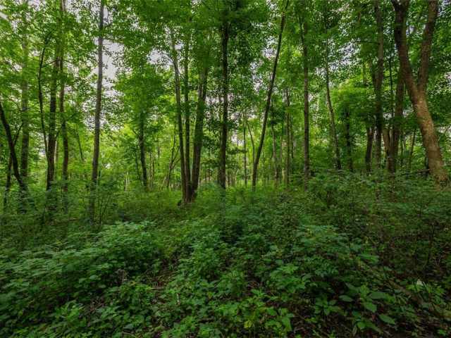 Mondovi Land Real Estate