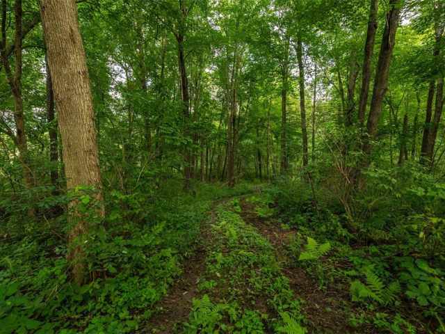 Mondovi Land Real Estate