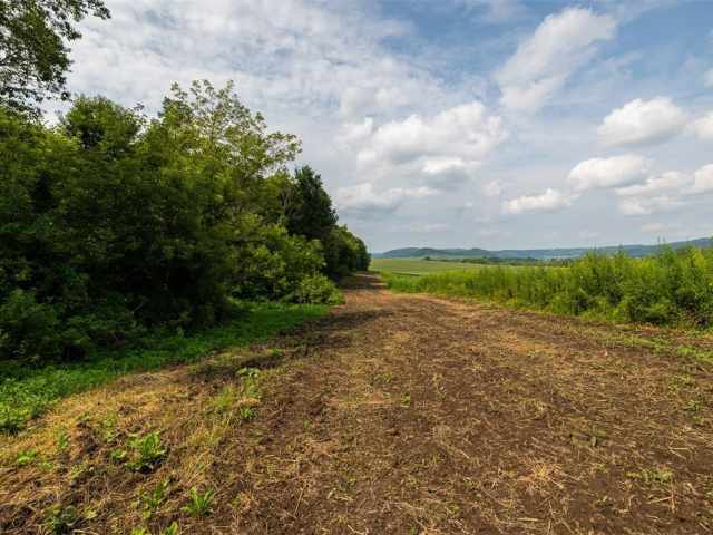 Mondovi Land Real Estate