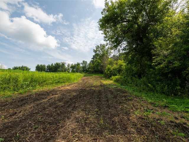 Mondovi Land Real Estate