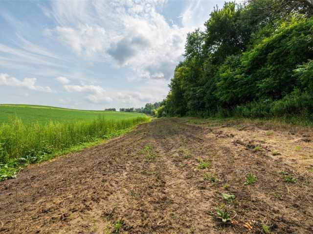 Mondovi Land Real Estate