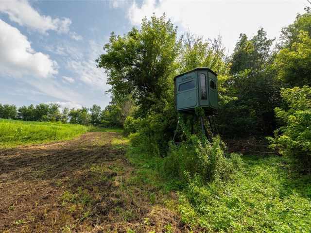 Mondovi Land Real Estate