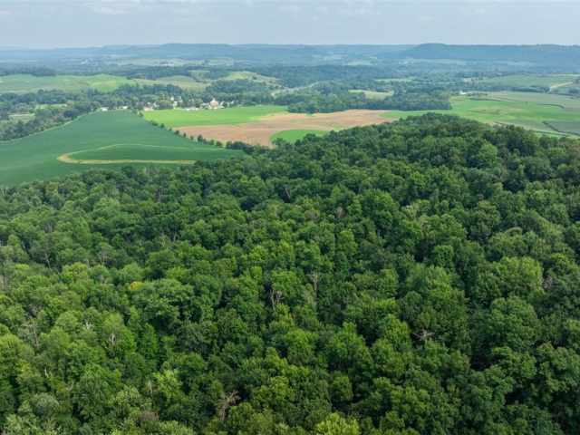 Mondovi Land Real Estate