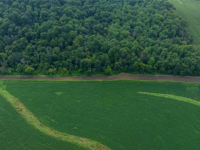 Mondovi Land Real Estate