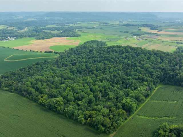 Mondovi Land Real Estate