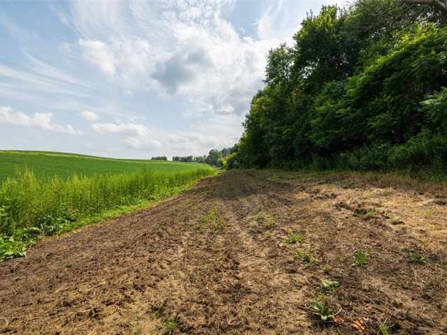Mondovi Land Real Estate