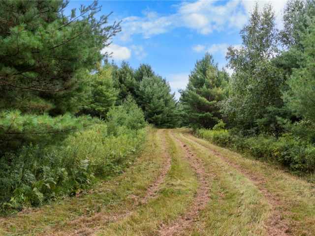 Trego Land Real Estate