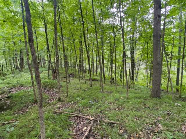 Trego Land Real Estate