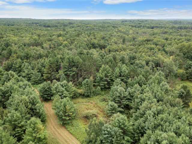 Trego Land Real Estate