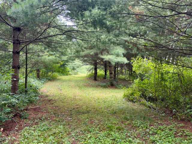 Trego Land Real Estate