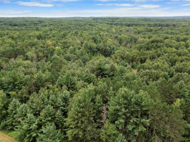 Trego Land Real Estate