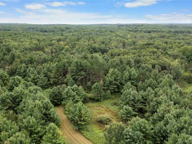 Trego Land Real Estate