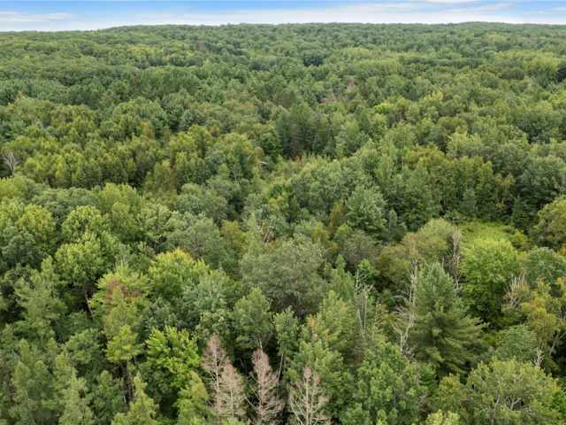 Trego Land Real Estate