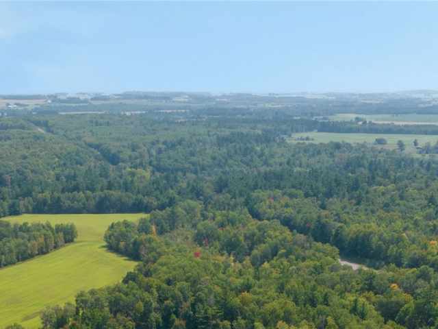 Rice Lake Land Real Estate