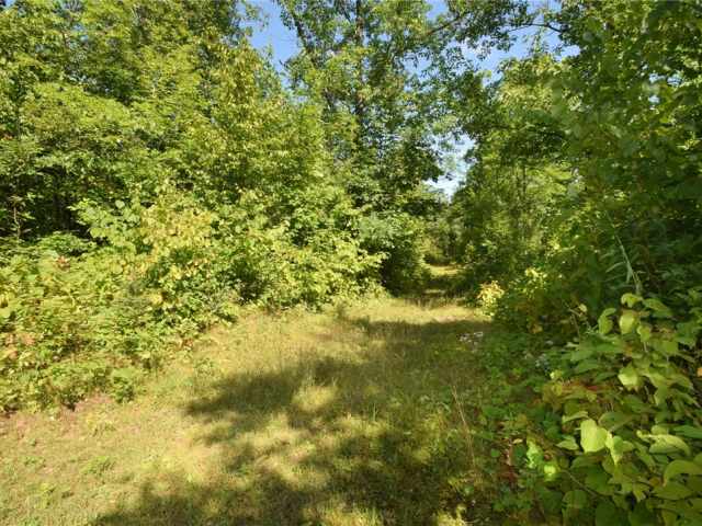 Danbury Residential Real Estate