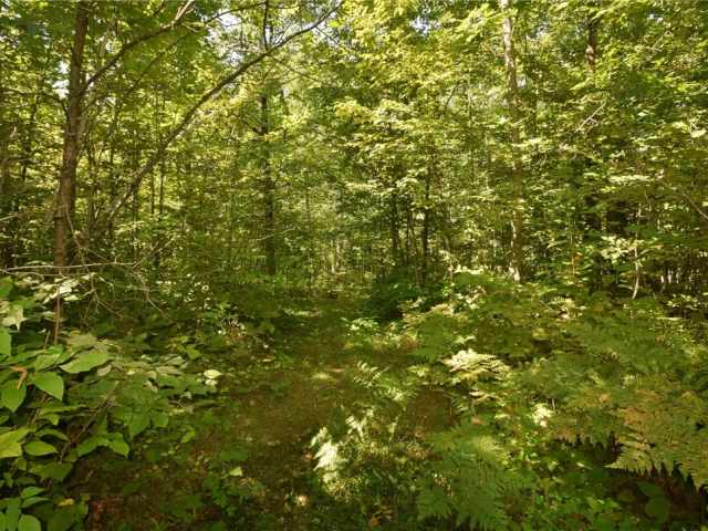 Danbury Residential Real Estate