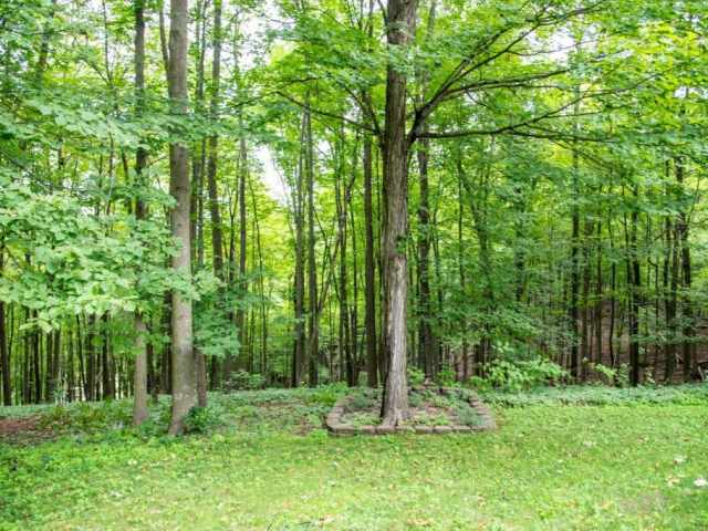 Spring Valley Residential Real Estate