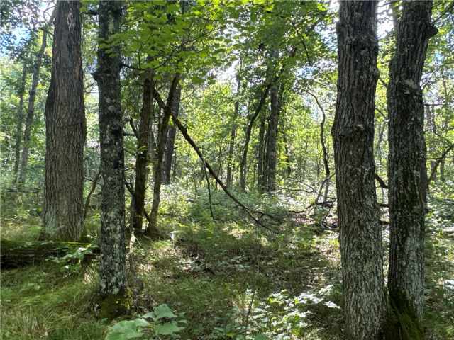 Danbury Residential Real Estate