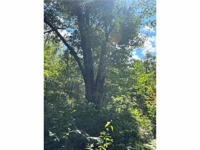 Danbury Residential Real Estate