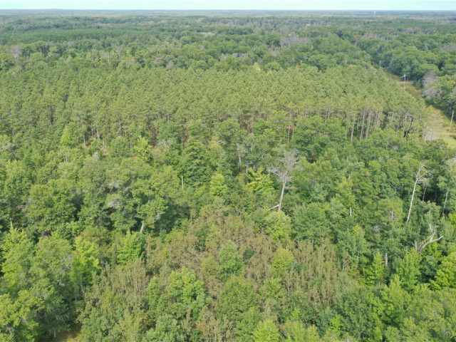 Danbury Residential Real Estate