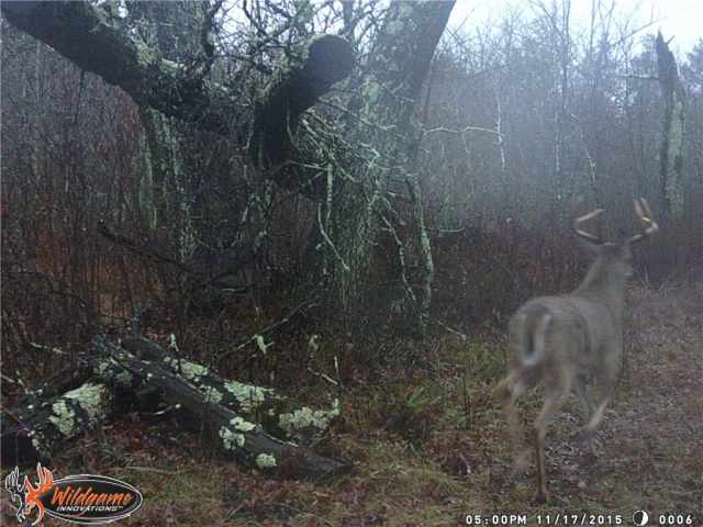 Danbury Residential Real Estate