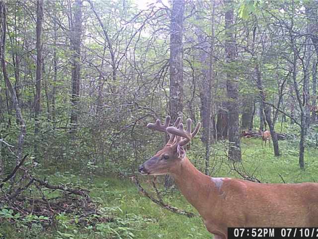 Danbury Residential Real Estate