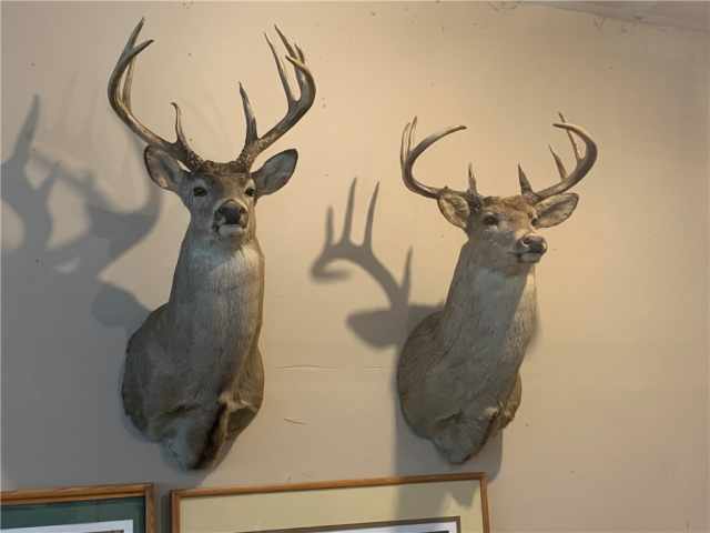 Danbury Residential Real Estate