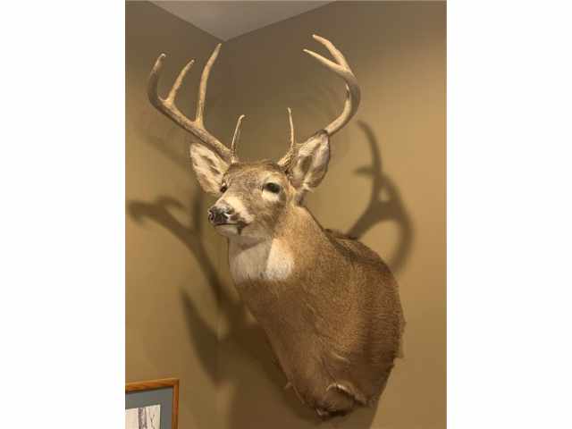 Danbury Residential Real Estate