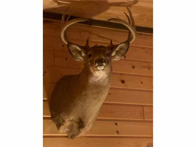 Danbury Residential Real Estate