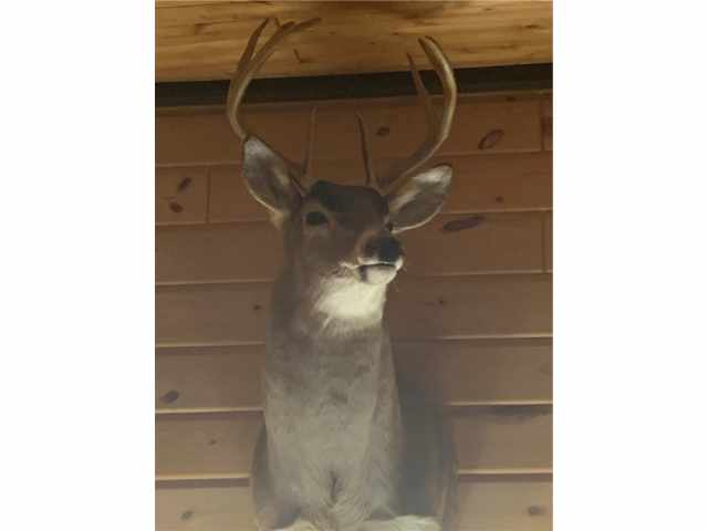 Danbury Residential Real Estate