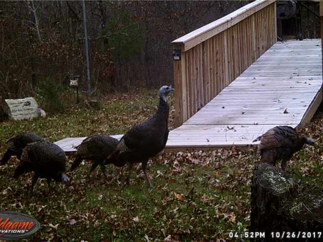 Danbury Residential Real Estate