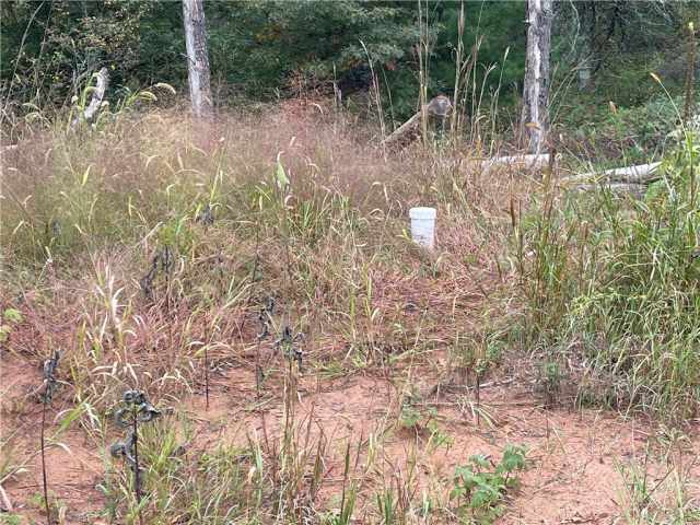 Grantsburg Land Real Estate