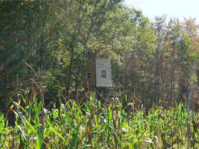 Neillsville Residential Real Estate