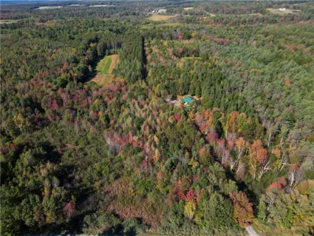 Neillsville Residential Real Estate
