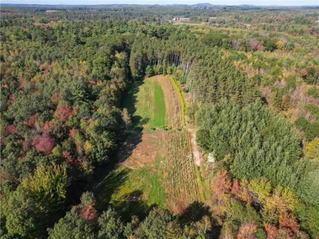 Neillsville Residential Real Estate