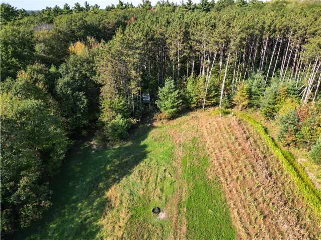 Neillsville Residential Real Estate