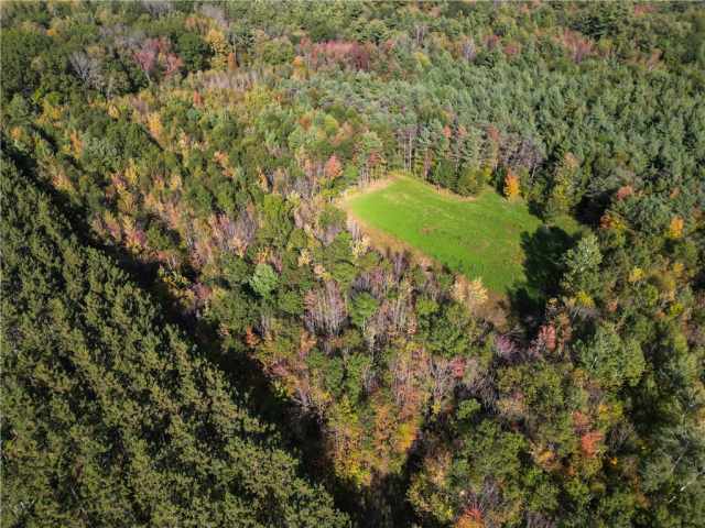 Neillsville Residential Real Estate
