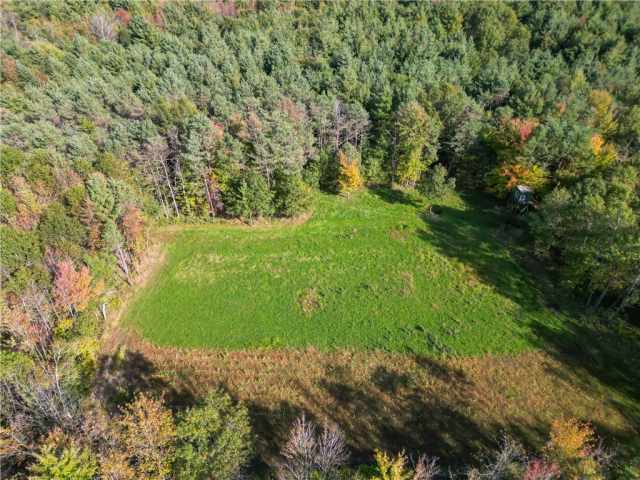 Neillsville Residential Real Estate