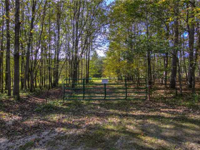 Neillsville Residential Real Estate