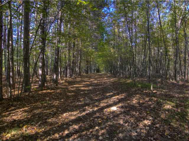 Neillsville Residential Real Estate