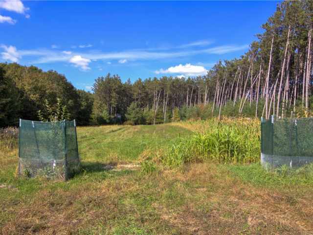 Neillsville Residential Real Estate