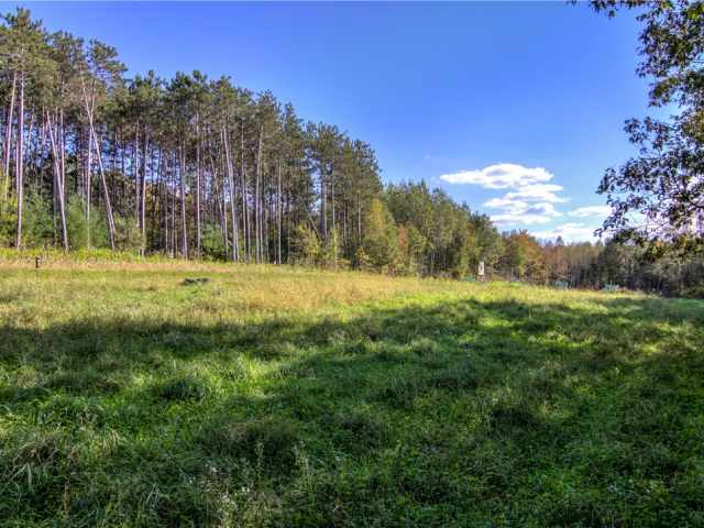 Neillsville Residential Real Estate