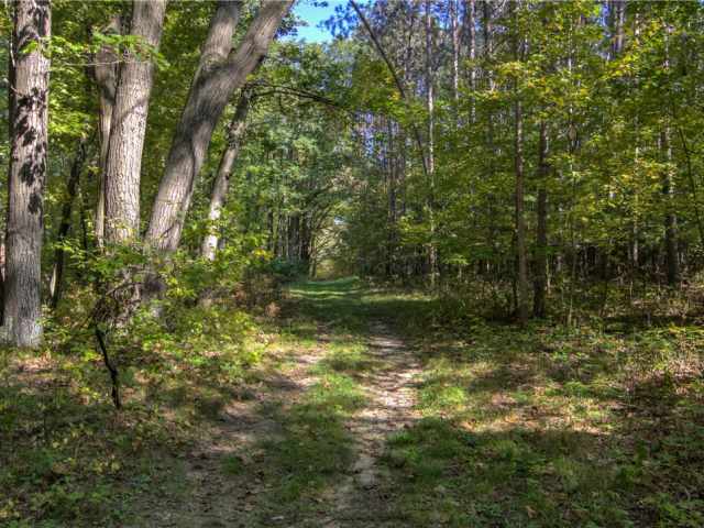 Neillsville Residential Real Estate